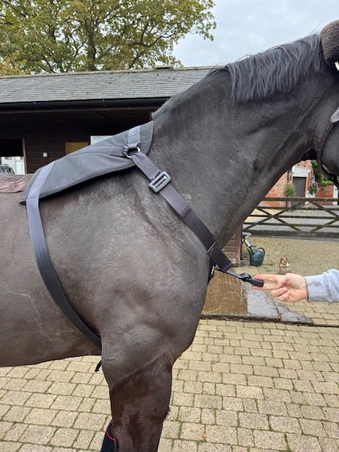 Equi Travel Safe Trailer harness, and fitting kit