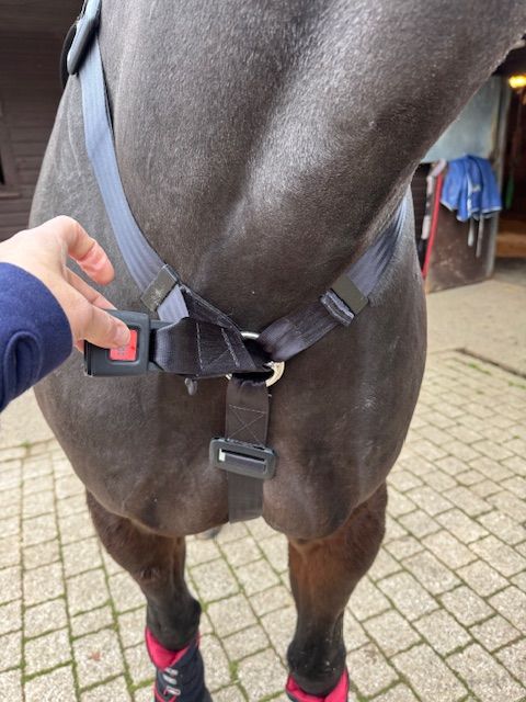 Equi Travel Safe 14.2 AND UNDER Trailer harness, and fitting kit