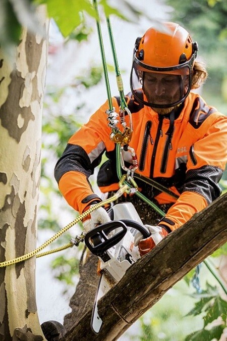 Stihl MSA161T Cordless Battery one handed arborist 10 climbing Chainsaw