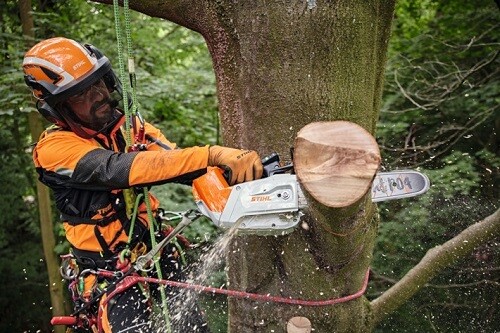Stihl chainsaw climbing sale saw
