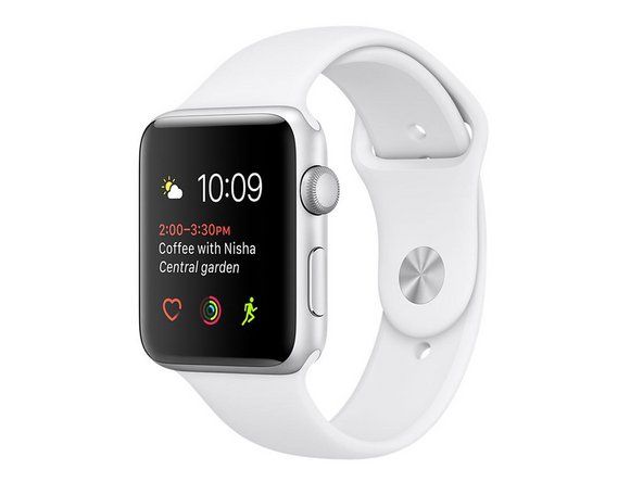 Series 1 (42MM)
