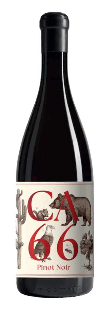 Weingut Hannes Sabathi, Sûdsteiermark DAC CA 66, Pinot Noir - 2023 - 0,75L