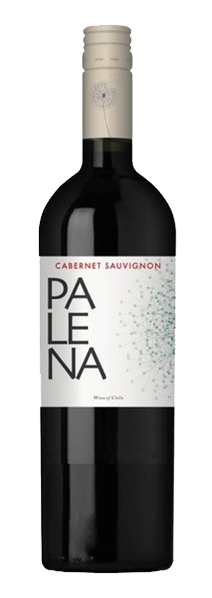 Palena, Rappel Valley Cabernet Sauvignon - Chili - 2022 - 0,75L