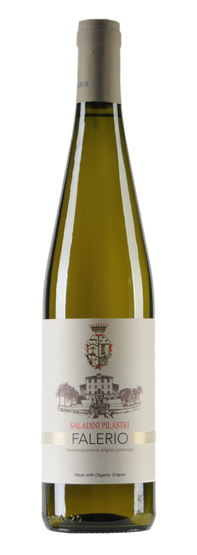Saladini Pilastri, Falerio Bianco DOC BIO - 2023 - 0,75L
