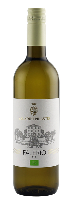 Saladini Pilastri, Falerio Bianco DOC BIO - 0,75L