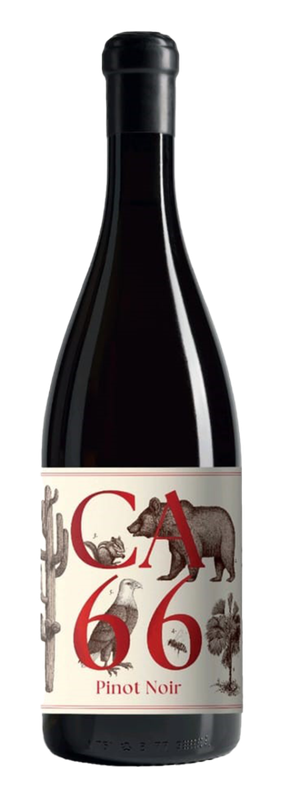 Weingut Hannes Sabathi, Sûdsteiermark DAC CA 66, Pinot Noir - 2023 - 0,75L