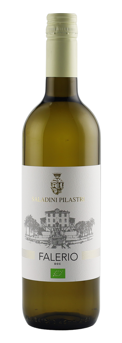 Saladini Pilastri, Falerio Bianco DOC BIO - 0,75L