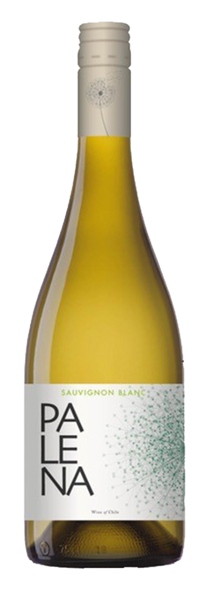 Palena, Rappel Valley, Sauvignon Blanc - 2023 - 0,75L Palena, Rappel Valley, Sauvignon Blanc - 2023 - 0,75L