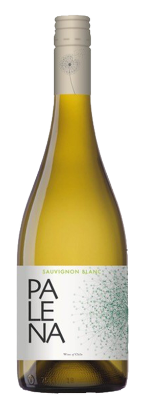 Palena, Rappel Valley, Sauvignon Blanc - 2023 - 0,75L