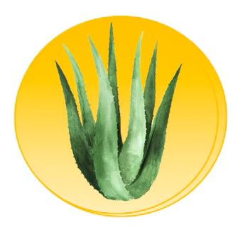 Ondersteunende voedingssupplementen recht uit de natuur in de puurste vorm!