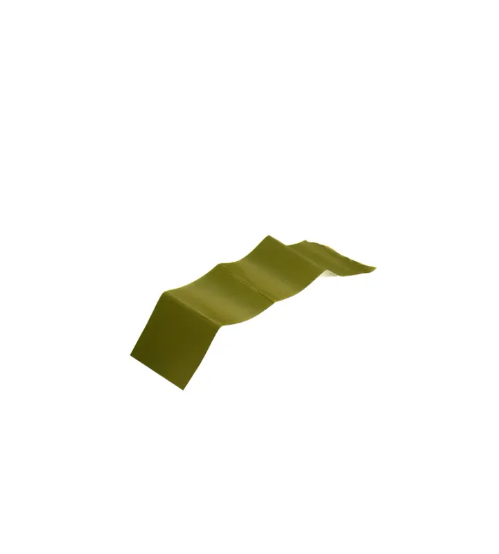 Reparatiepleister
