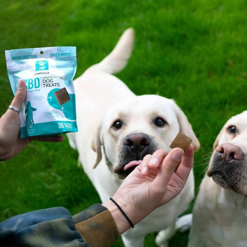 Hempzilla CBD Dog Treats Muscle &amp; Joint 30Ct