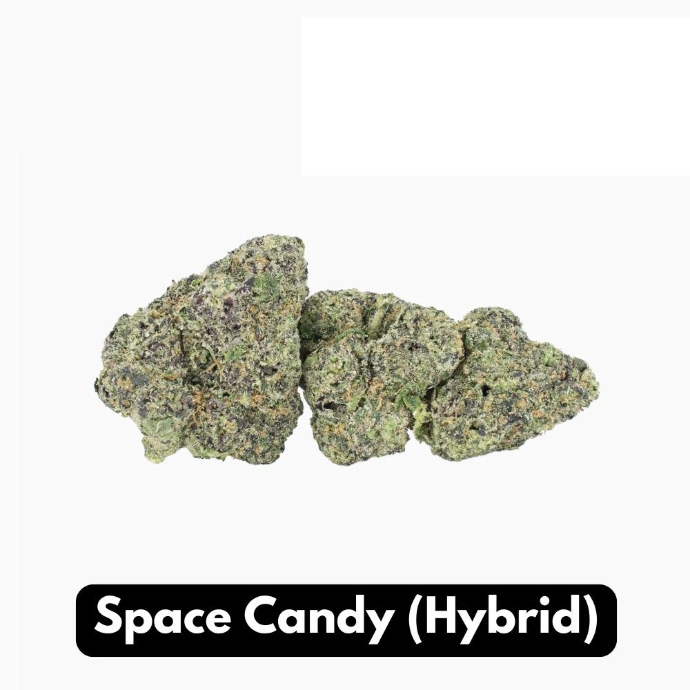 Space Candy (Hybrid) Elyxr