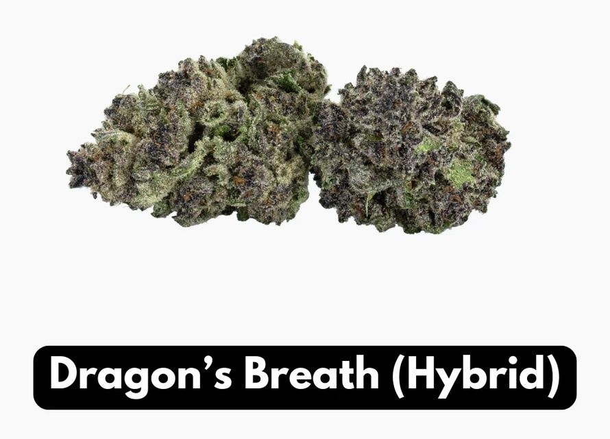 Elyxr Natural THC-A Flower Hybrid Dragon&#39;s Breath