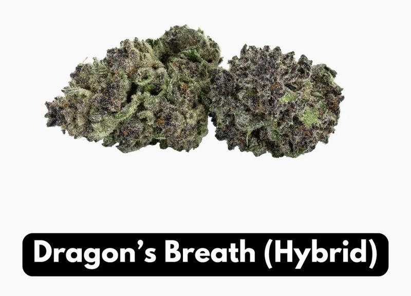 Dragons Breath THC-A Flower Hybrid Elyxr