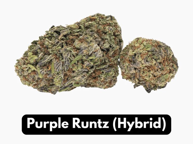 Purple Runtz THC-A Flower Hybrid Elyxr