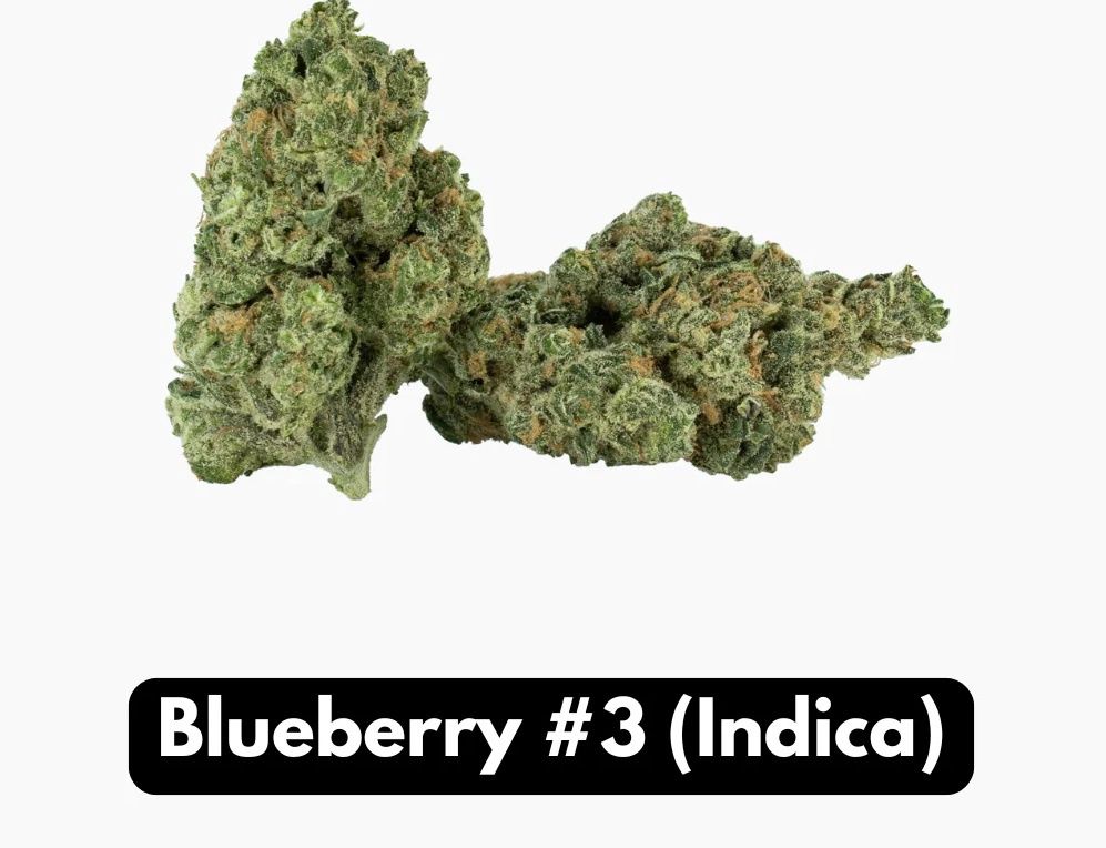 BlueBerry #3 Indica Elyxr
