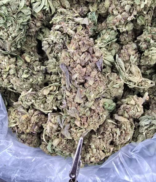 Cherry Runtz THCA Flower Flowstate Hemp HYBRID