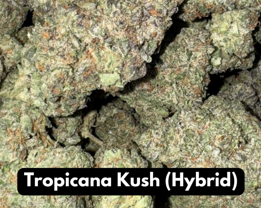 Tropicana Kush Natural THC-A Flower