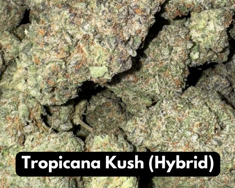 Tropicana Kush Natural THC-A Flower
