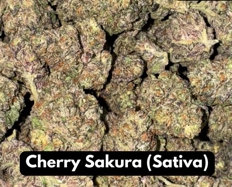 Cherry Sakura Natural THC-A Flower Sativa
