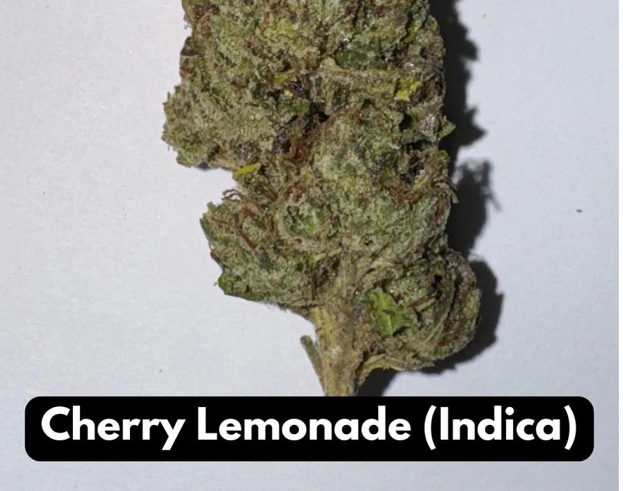 Cherry Lemonade THCA Flower Indica Elyxr