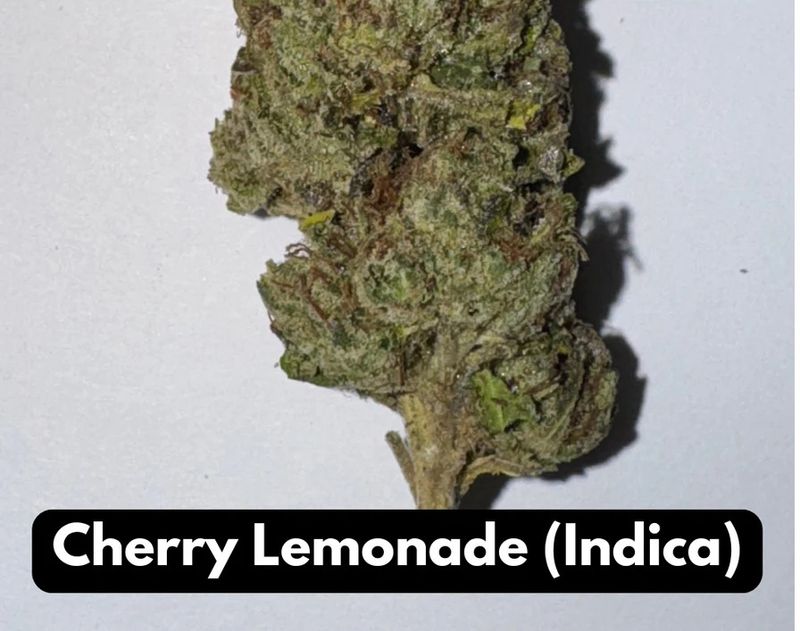 Cherry Lemonade THCA Flower Indica Elyxr