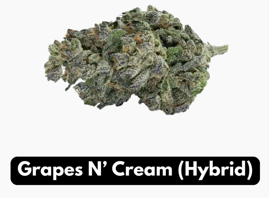 Grapes N Cream Thca FlowerHybrid Elyxr