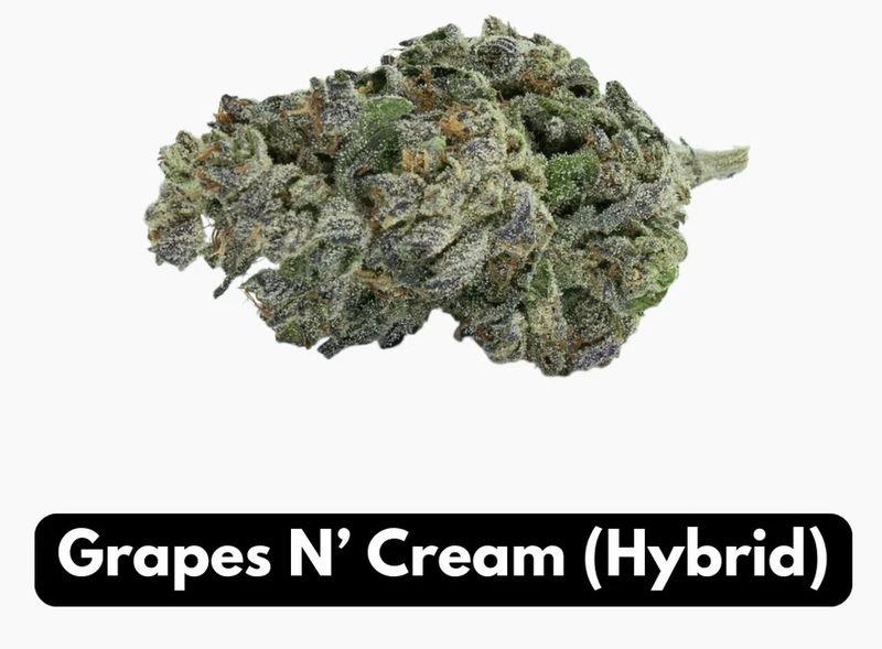 Grapes N Cream Thca FlowerHybrid Elyxr