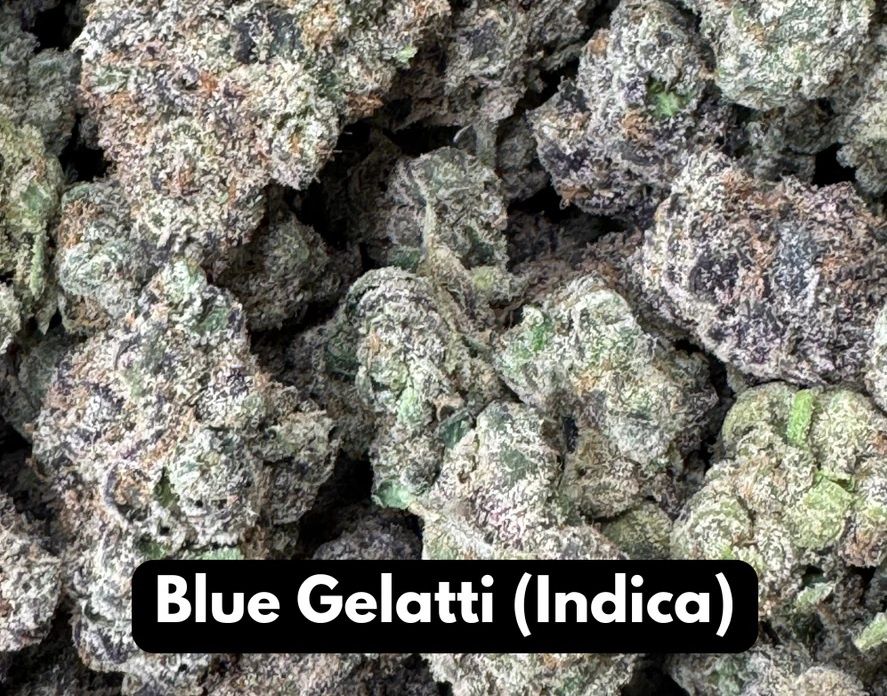 Elyxr Natural THCA Flower Blue Gelati Indica