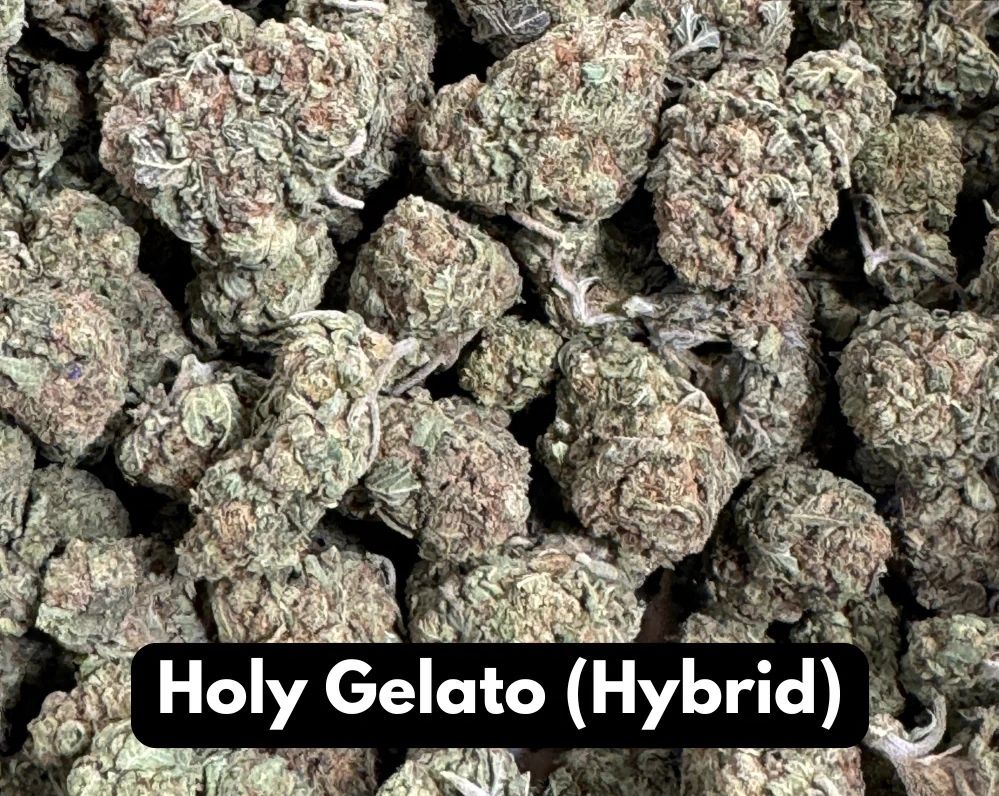 Elyxr Holy Gelato THCA FLower Hybrid