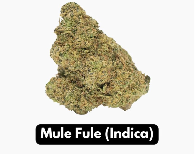 Mule Fuel Thca Flower Elyxr Indica