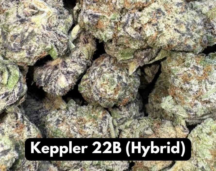 Natural THC-A Flower (Hybrid ~ Keppler 22B)