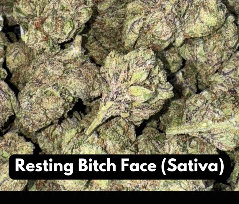 Natural THCA Flower Resting B***H Face Sativa