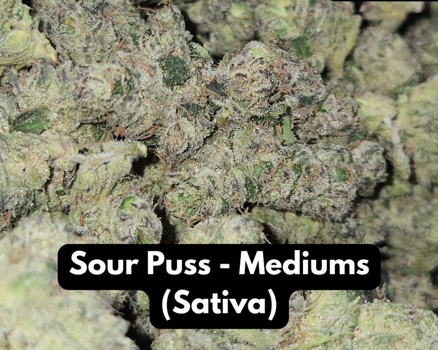 Elyxr Natural THC-A Flower (Sativa ~ Sour Puss - Mediums)