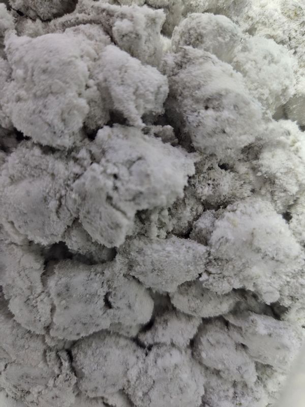 Blue Gelati Snowcaps Sativa