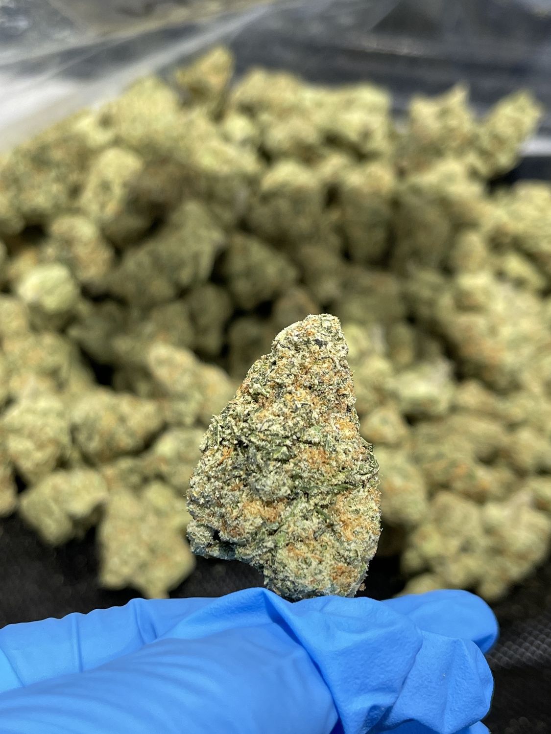 Blue Berry Indica Thca