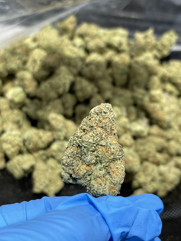 Blue Berry Indica Thca