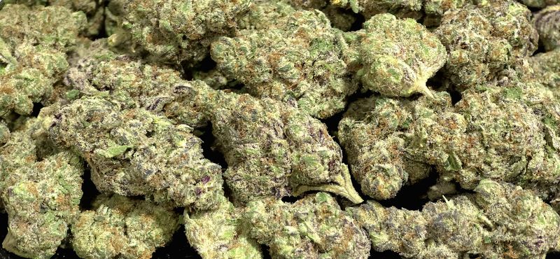 Purple Strawdawg Exotic Sativa