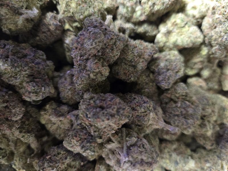 Gary Payton THCA Flower – Cali Treez (Hybrid)