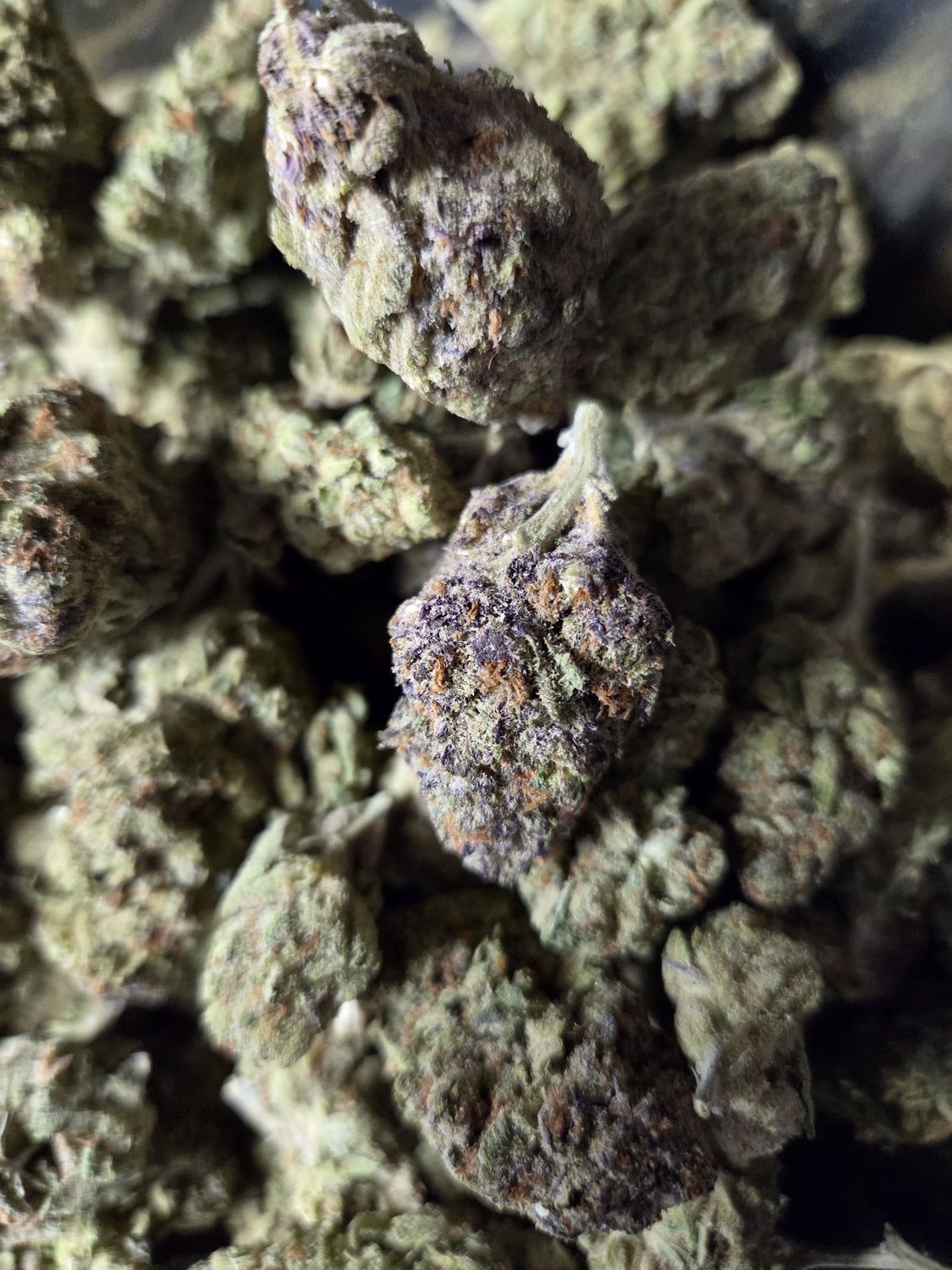 Purple Haze THCA Flower – Cali Treez (Sativa)