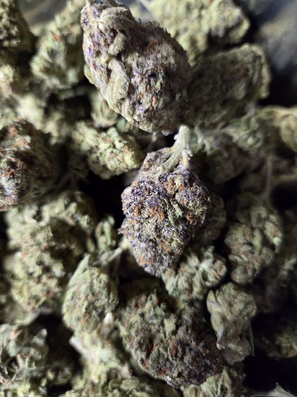 Purple Haze THCA Flower – Cali Treez (Sativa)