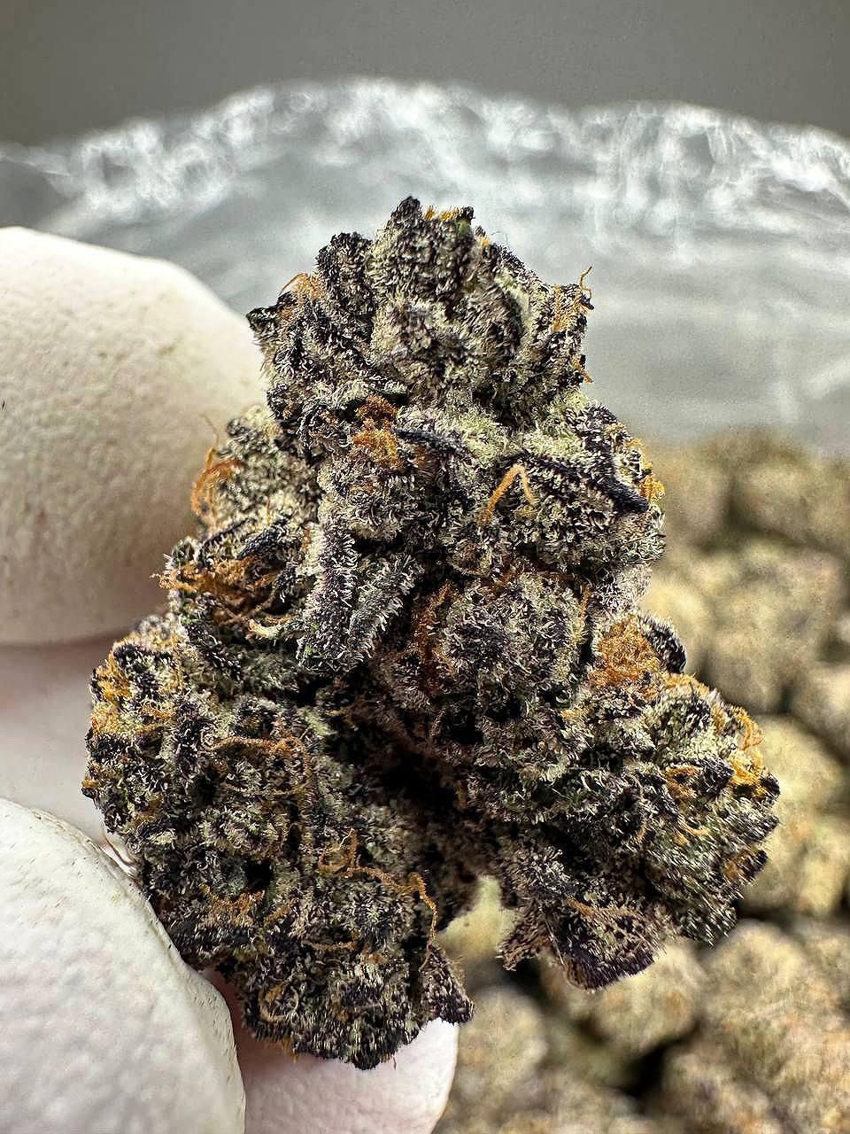 Halle Berry Exotic Thc-A Flower