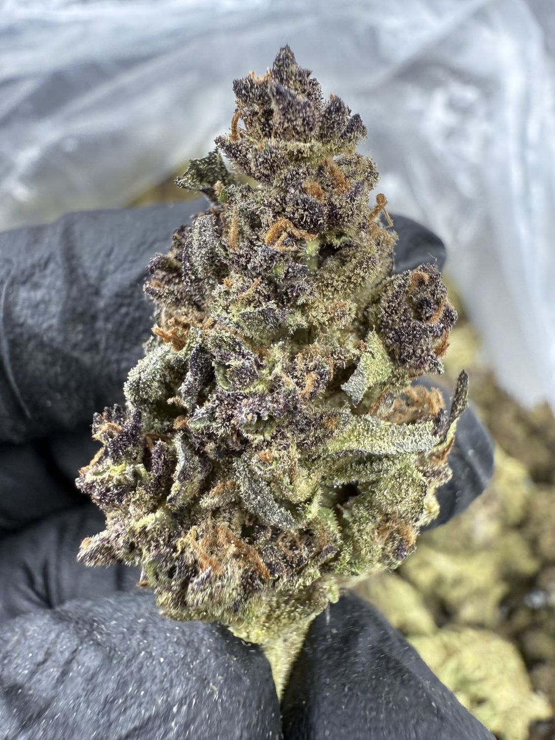 Tropican Cherry Smalls Thc-A Flower