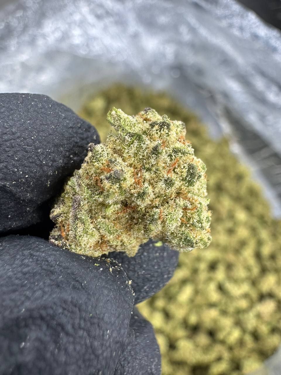 Purple Punch Thca Flower (SMALLS) Sativa