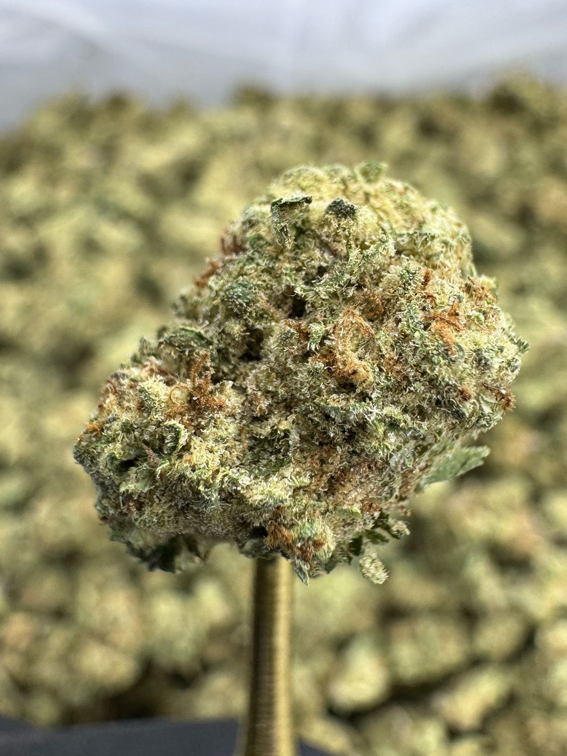 Blueberry Muffin Thca FLower (INDICA)