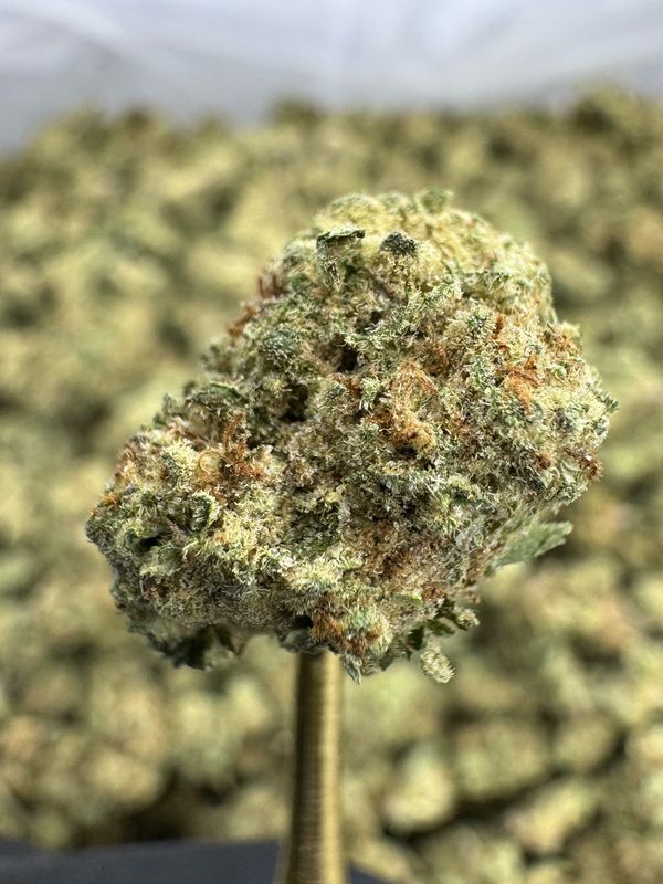 Blueberry Muffin Thca FLower (INDICA)