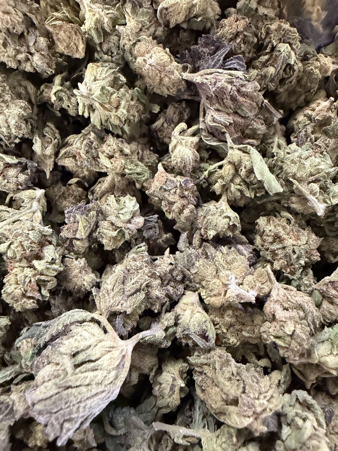 HIghlander Thca Smalls