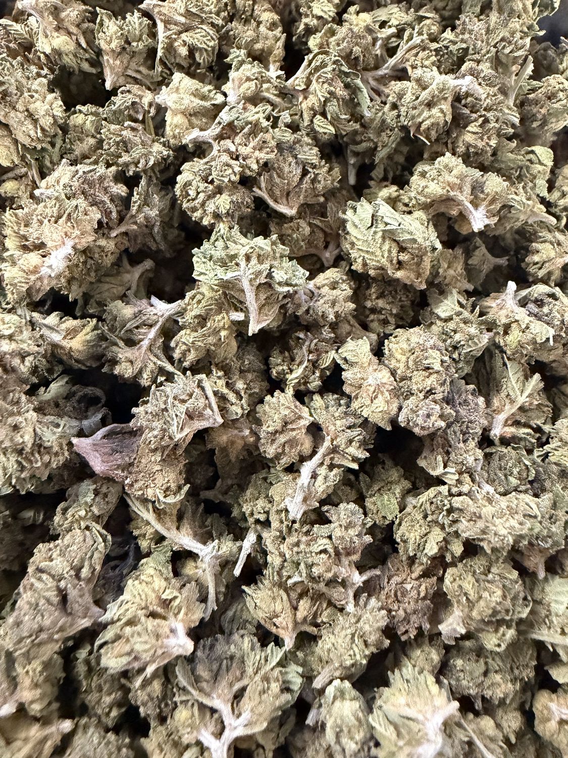 Biscotti x Jealousy Thca Flower smalls