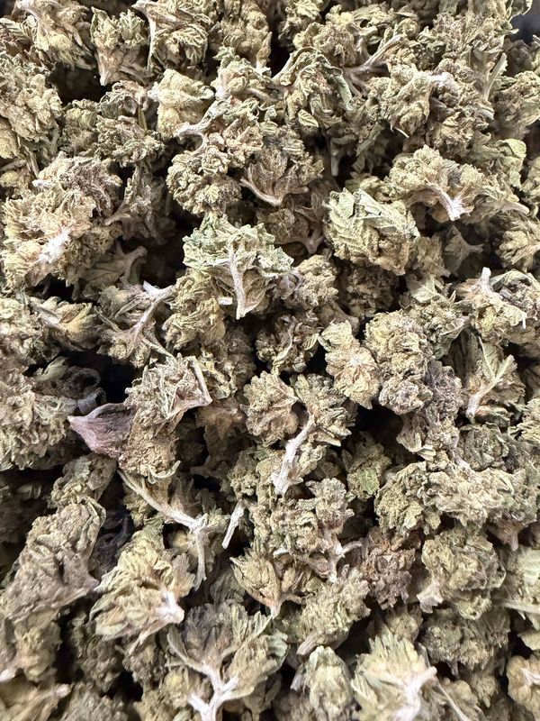 Biscotti x Jealousy Thca Flower smalls Hybrid